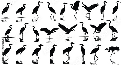 Set of black heron silhouettes in various standing and flying poses with reflections in water isolated on white background for nature design elements,