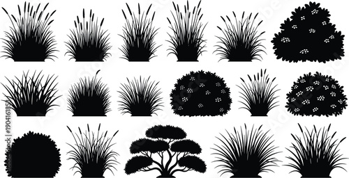 Set of black squirrel silhouettes in various action poses including jumping running eating and sitting isolated on white background for wildlife nature design elements,