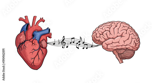 Illustration of a human heart connected to a human brain by musical notes, symbolizing the connection between emotions and intellect.