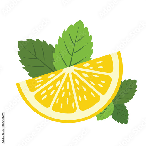 Lemon Slice with Fresh Mint Leaves Illustration