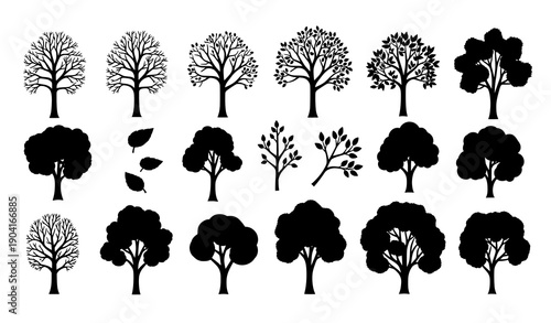 Hand Drawn Flat Tree and Leaf Collection Vector Set with Bare Trees Spring Leaves and Lush Green Foliage