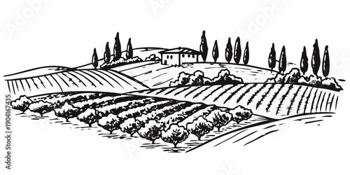 Tuscan landscape with rolling hills vineyards and a charming farmhouse