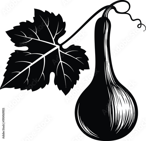 Hanging Gourd on Vine Botanical Silhouette Vector