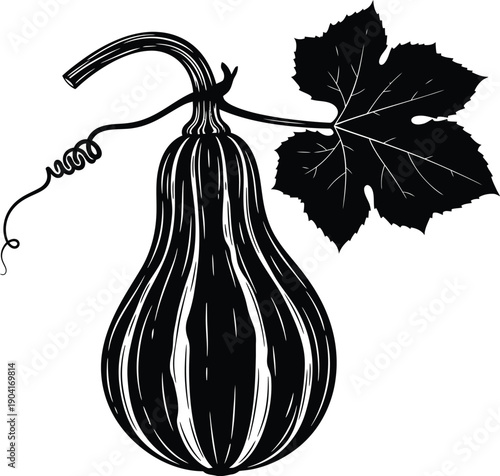Squash Gourd Vegetable Plant Silhouette Vector
