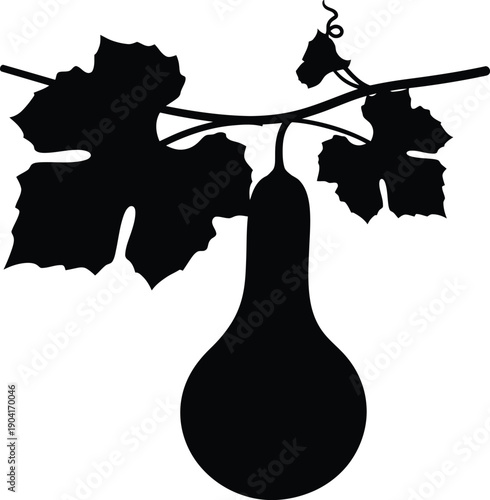 Hanging Gourd on Vine Plant Silhouette Vector