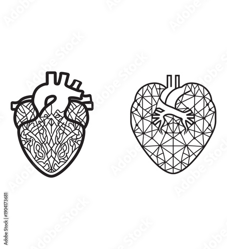 Pair of two anatomical hearts in different styles in thin line art isolated on transparent background