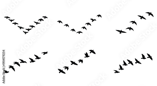 Traditional celebration of cherry blossom season and hanami festival in japanese culture