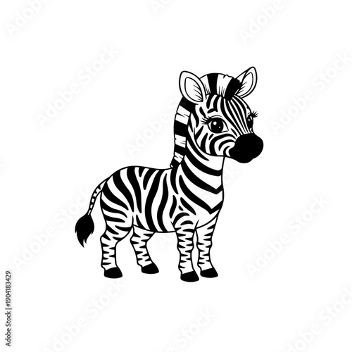 Cute Zebra Illustration