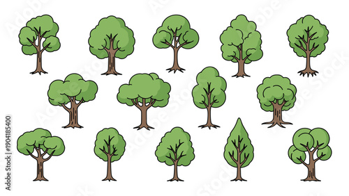 Various species of leafy green trees in different shapes and sizes for garden planning, parks, and nature illustrations.