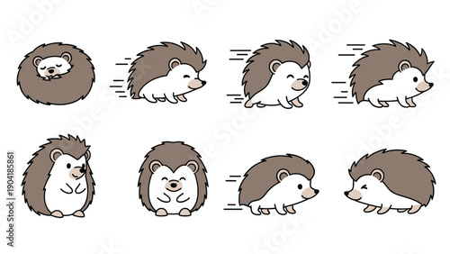 Cute hedgehog collection shows these prickly mammals in various poses like curled up in a ball running and standing curiously.