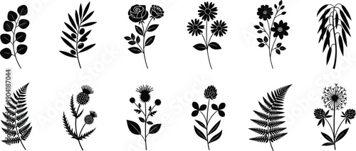 Collection of various botanical illustrations of flowers and leaves