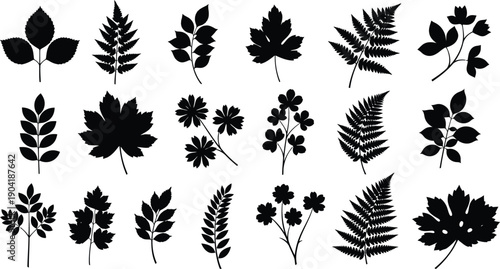 Collection of various leaf silhouettes on white background