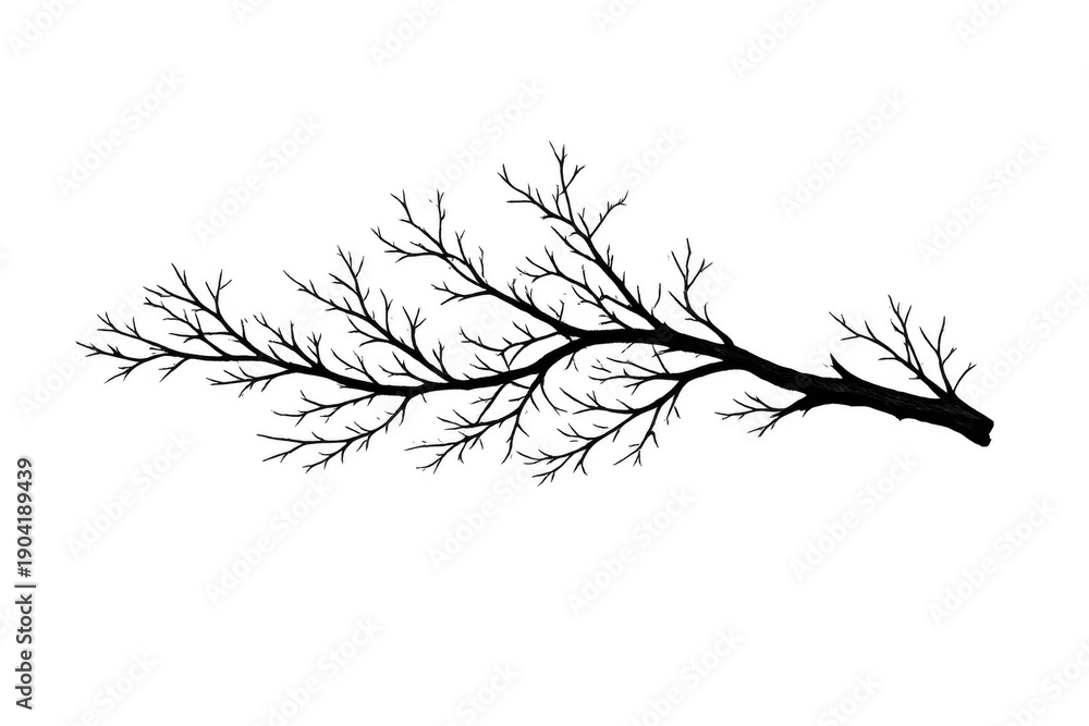 Obraz premium Bare tree branch silhouette with small twigs on transparent background representing nature, winter, and ecology