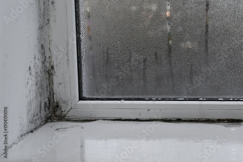 Photography Mold infestation covering window corner and interior wall area, mold stains forming dark irregular patterns