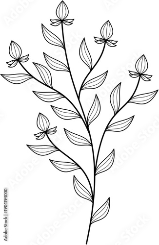 Floral Line Art