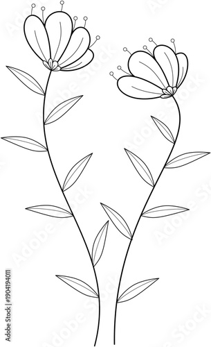 Floral Line Art