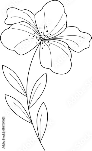 Floral Line Art