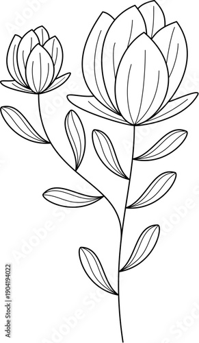 Floral Line Art
