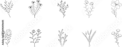 Floral Line Art