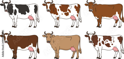 Set of Domestic Dairy Cow Breeds in Different Colors Vector Illustration Including Holstein, Friesian, Jersey, and Brown Swiss