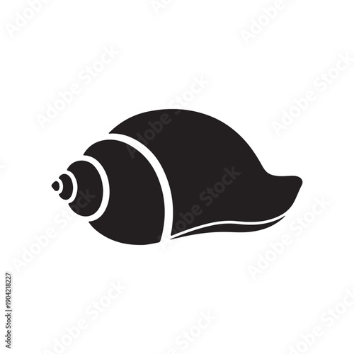 seashell silhouette vector flat illustration design. Seashell icon.
