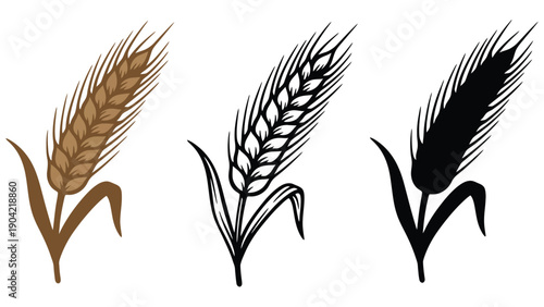 Three different styles of wheat stalks are shown.