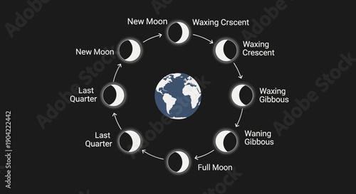 Phases of the Moon Cycle.