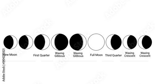 Phases of the Moon Cycle.