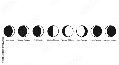 Phases of the Moon Cycle.