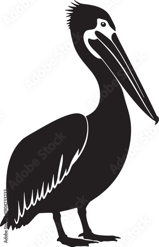 Large black pelican bird standing alone in profile view