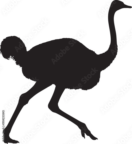 Ostrich silhouette running fast on white background in profile view