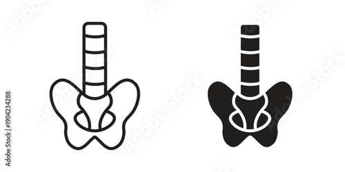Pelvis icon line illustration background. icon concept vector