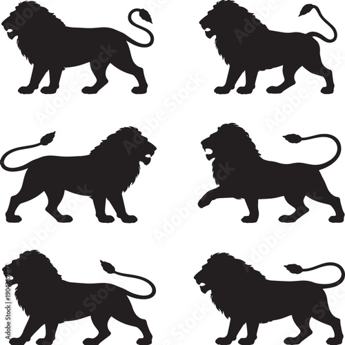 Lion silhouettes in various poses on white background