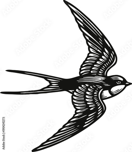 detailed black and white illustration of a swift bird flying with outstretched wings and long tail feathers