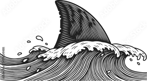 Shark fin emerging from ocean waves with water splashes in black and white illustration