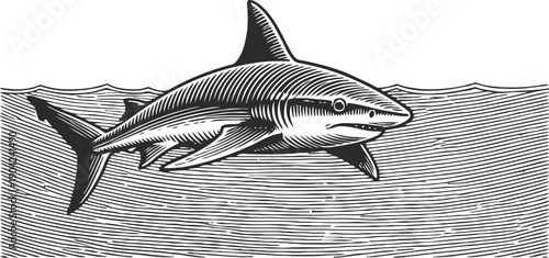 Illustration of a shark swimming in the ocean with waves in the background