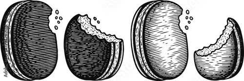 hand drawn bitten cookies illustrations four vintage biscuit sketches with bite marks and crumbs