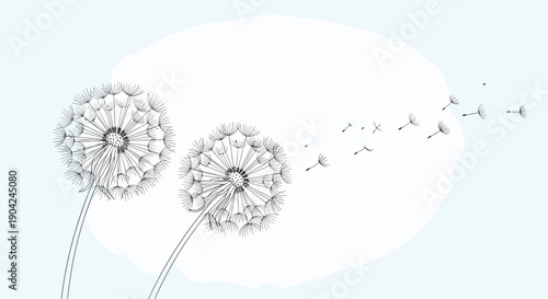 Delicate dandelions with seeds floating away in gentle breeze against soft blue background with artistic paint stroke.