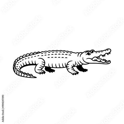 Black and White Crocodile Line Art Vector Illustration
