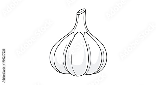 Minimalist black and white line art illustration of a whole garlic bulb perfect for organic cooking and healthy food recipes themes.