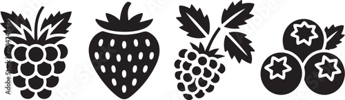 Berry vector icons set, raspberry, strawberry, blackberry, blueberry silhouette