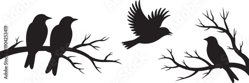 Flying bird branch silhouette illustration