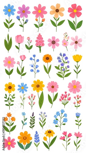 Colorful, diverse, flat illustration of various flowers with vibrant petals and green stems