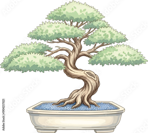 Bonsai Tree Decorative Plant Detailed Vector Artwork