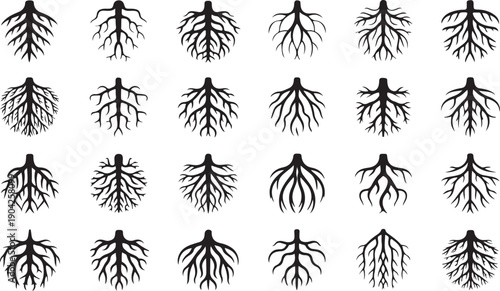 Root plants. Botanical symbols root systems from creep trees recent vector flat collections isolated