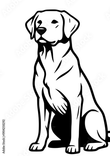 beagle dog vector illustration