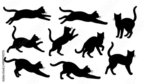 Title:
Minimal black cat silhouettes vector set with isolated sitting and walking feline poses