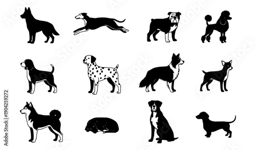 Title:
Minimal dog breed silhouettes vector illustration with isolated canine poses for logos icons and prints