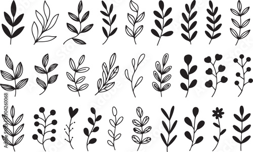 Set of tree branches