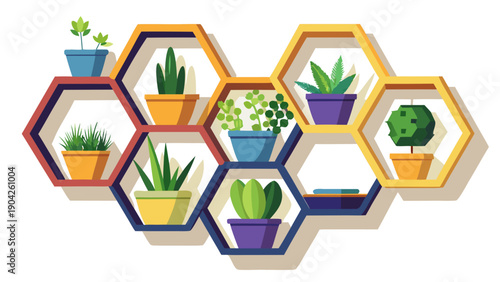 Colorful hexagonal planters displaying a variety of indoor plants and succulents Vector, illustration